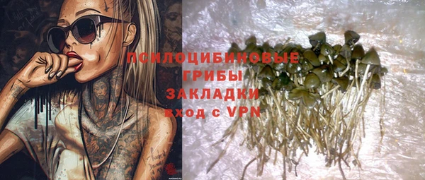 каннабис Белокуриха