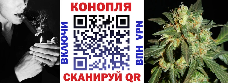 Конопля Amnesia  Ершов 